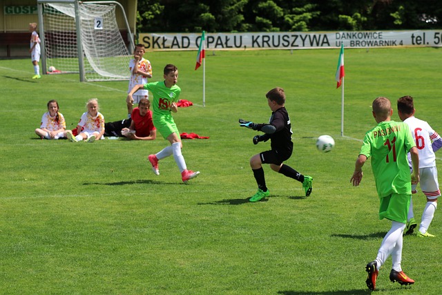 在的挑战 在的挑战