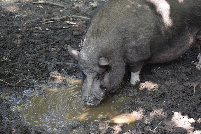 一步滑落 一步滑落