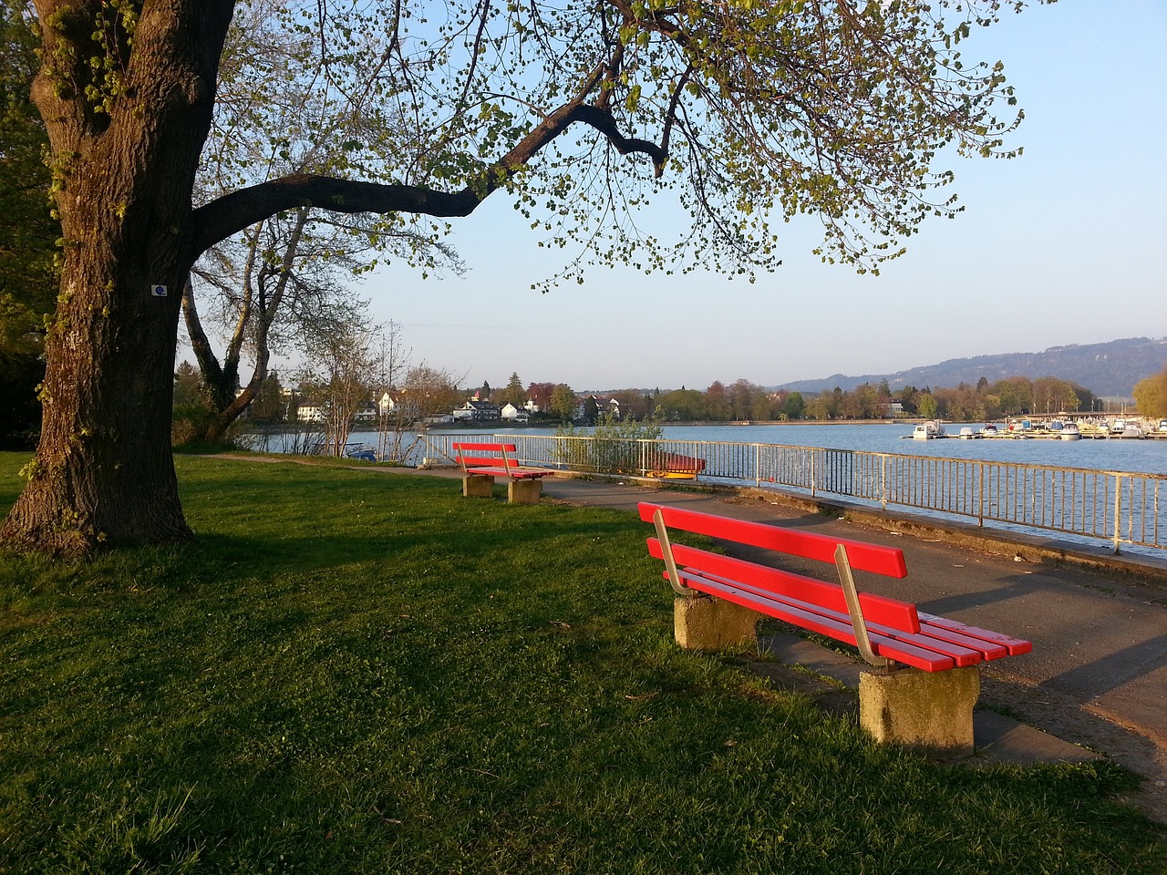 老鹰队粉丝 老鹰队粉丝