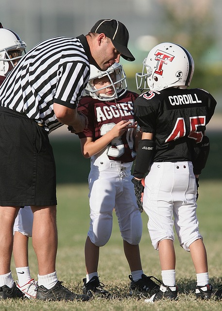 在寒冷的冬 在寒冷的冬